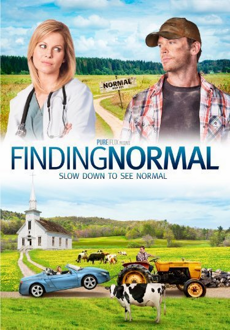 "Finding Normal" (2013) BDRip.x264-VoMiT